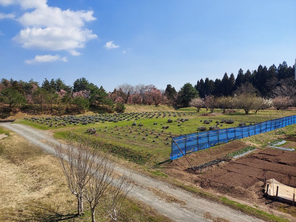 風車村ー展望台２２