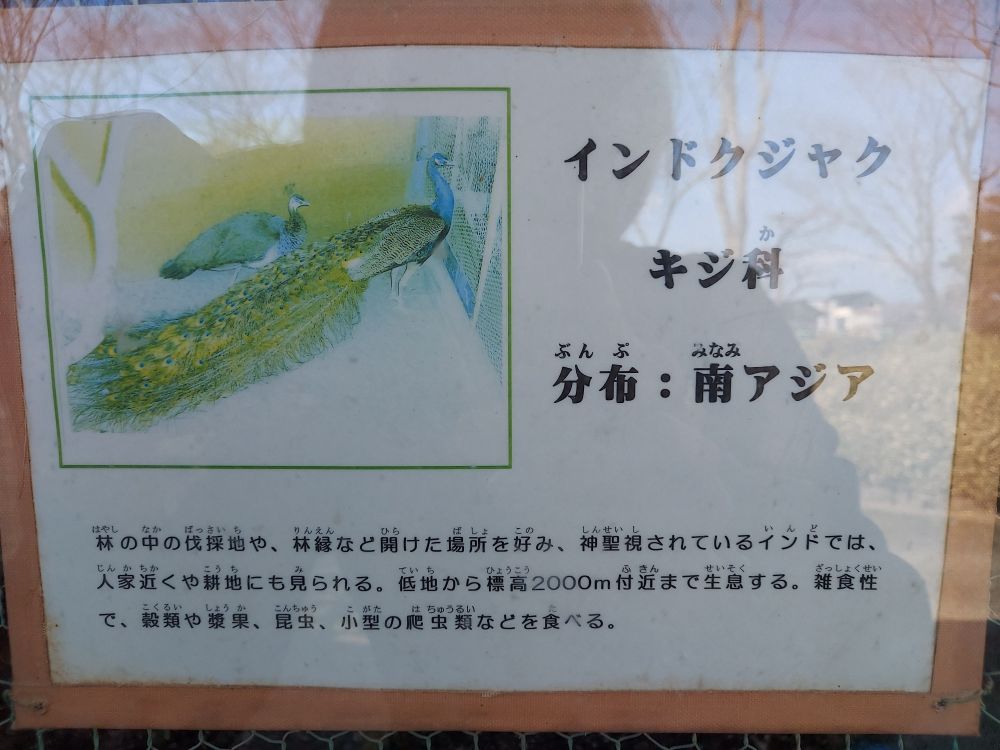 八幡公園ーことりの家３