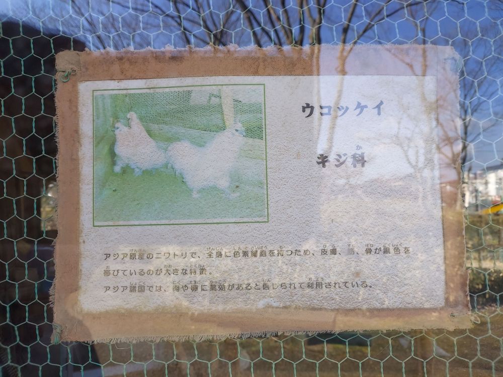 八幡公園ーことりの家７