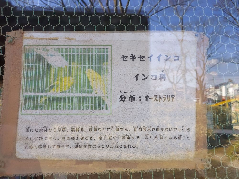 八幡公園ーことりの家８