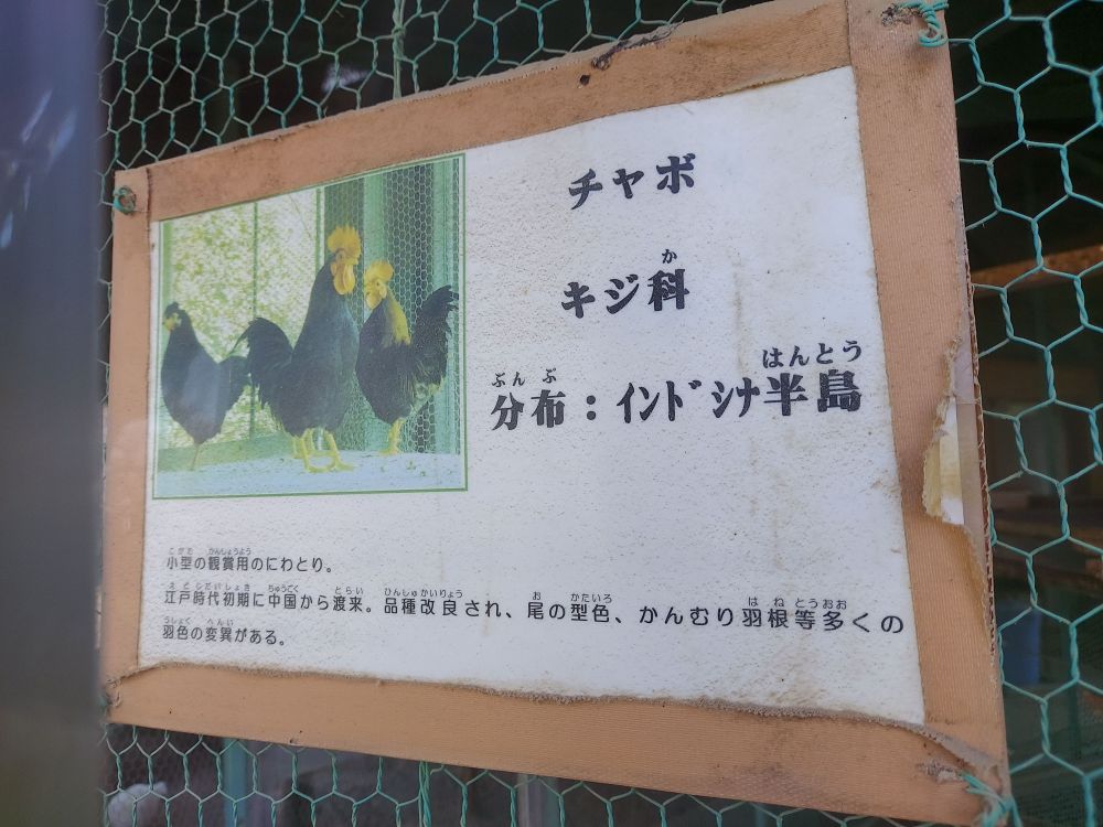 八幡公園ーことりの家９