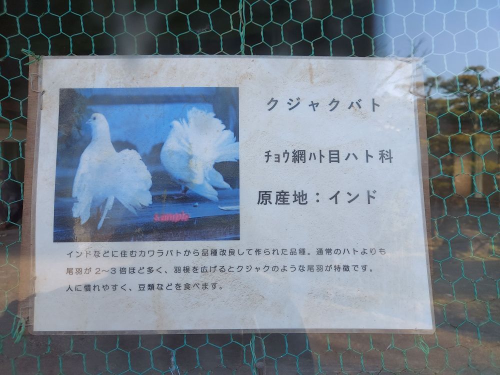 八幡公園ーことりの家１０