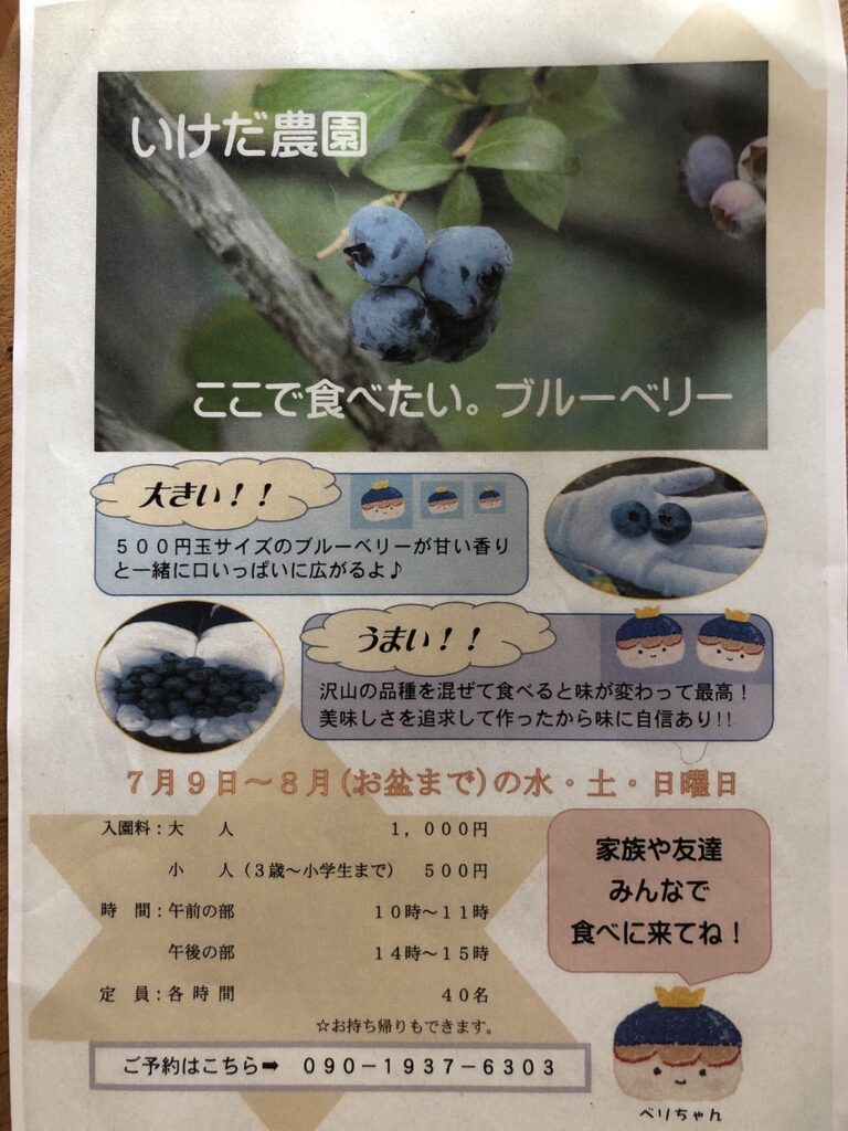 いけだ農園_ブルーベリー狩りチラシ2