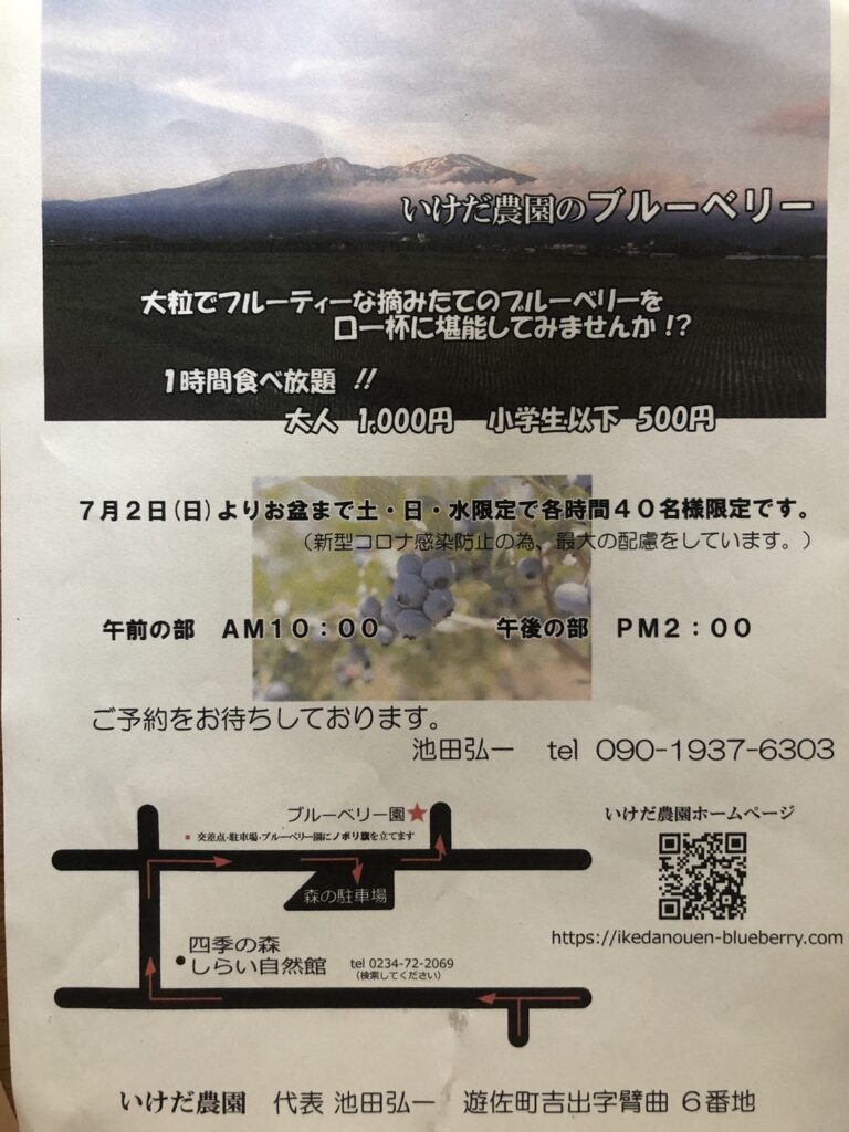 いけだ農園_ブルーベリー狩りチラシ1
