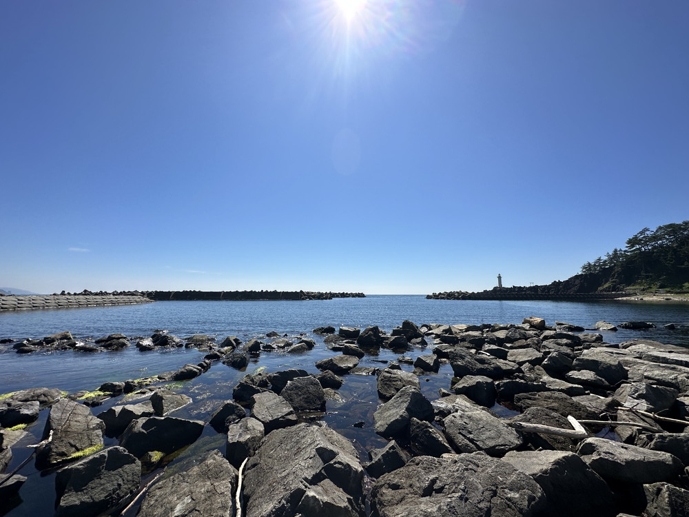 マリンパークねずがせき-磯 (1)