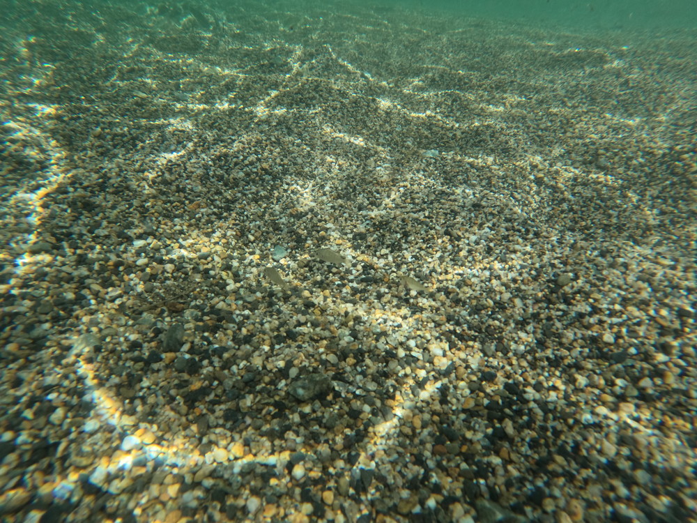 マリンパークねずがせき-砂浜 (1)