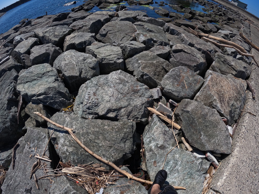 マリンパークねずがせき-磯 (3)