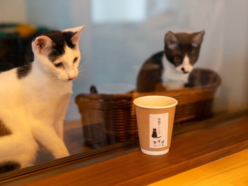 でずぼcafe_内観2