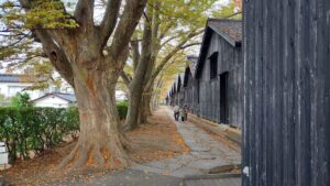 山居倉庫-4