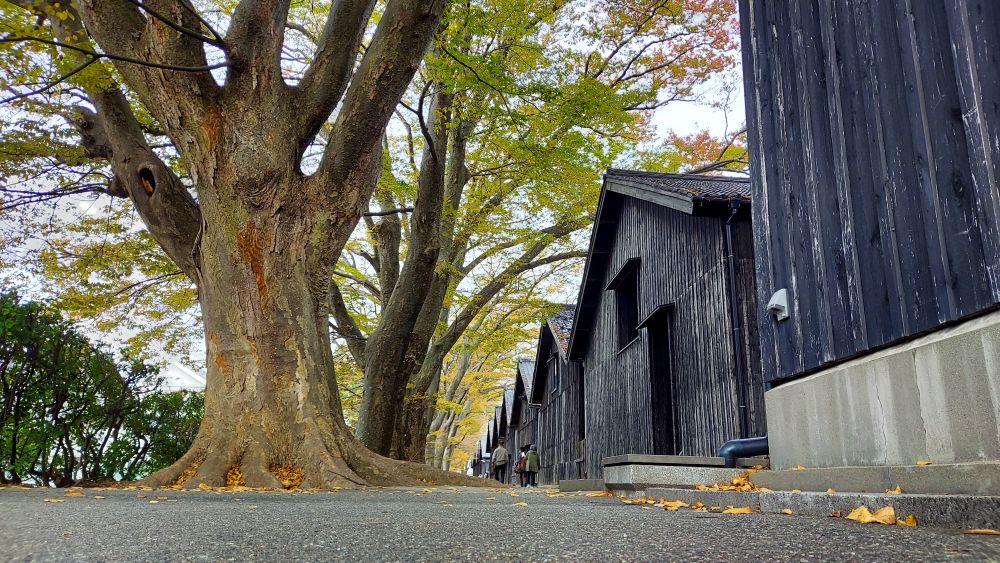 山居倉庫-5