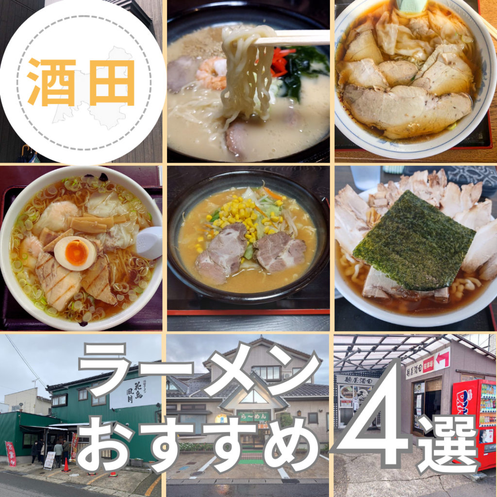 41a1c8e2060070a2bb5fa5d2fb30d3