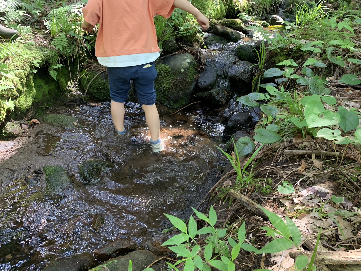 自由の森 体験⑥