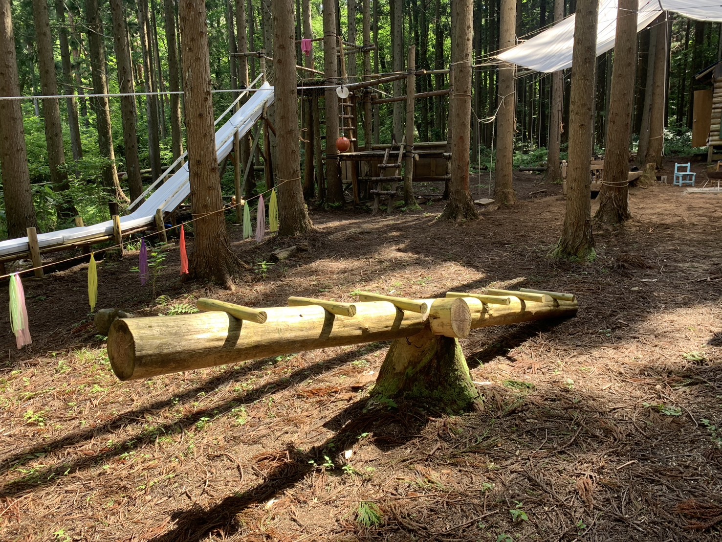 自由の森 遊び②