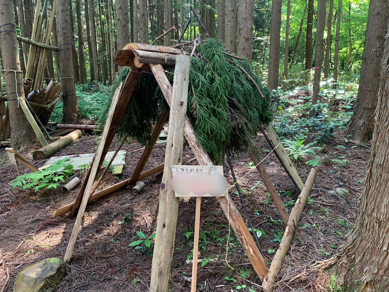 自由の森 体験⑩