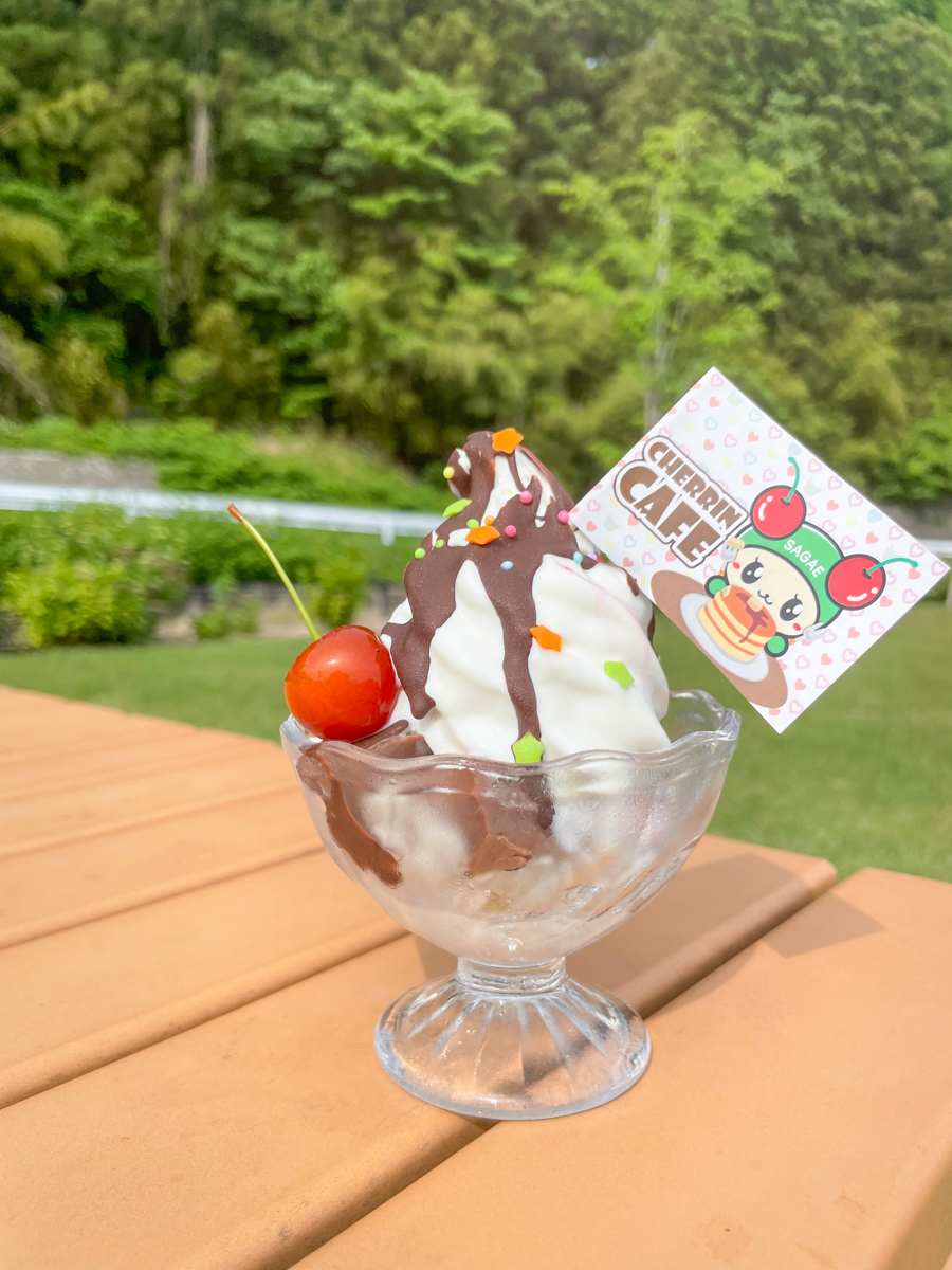 チェリン誕生日-3