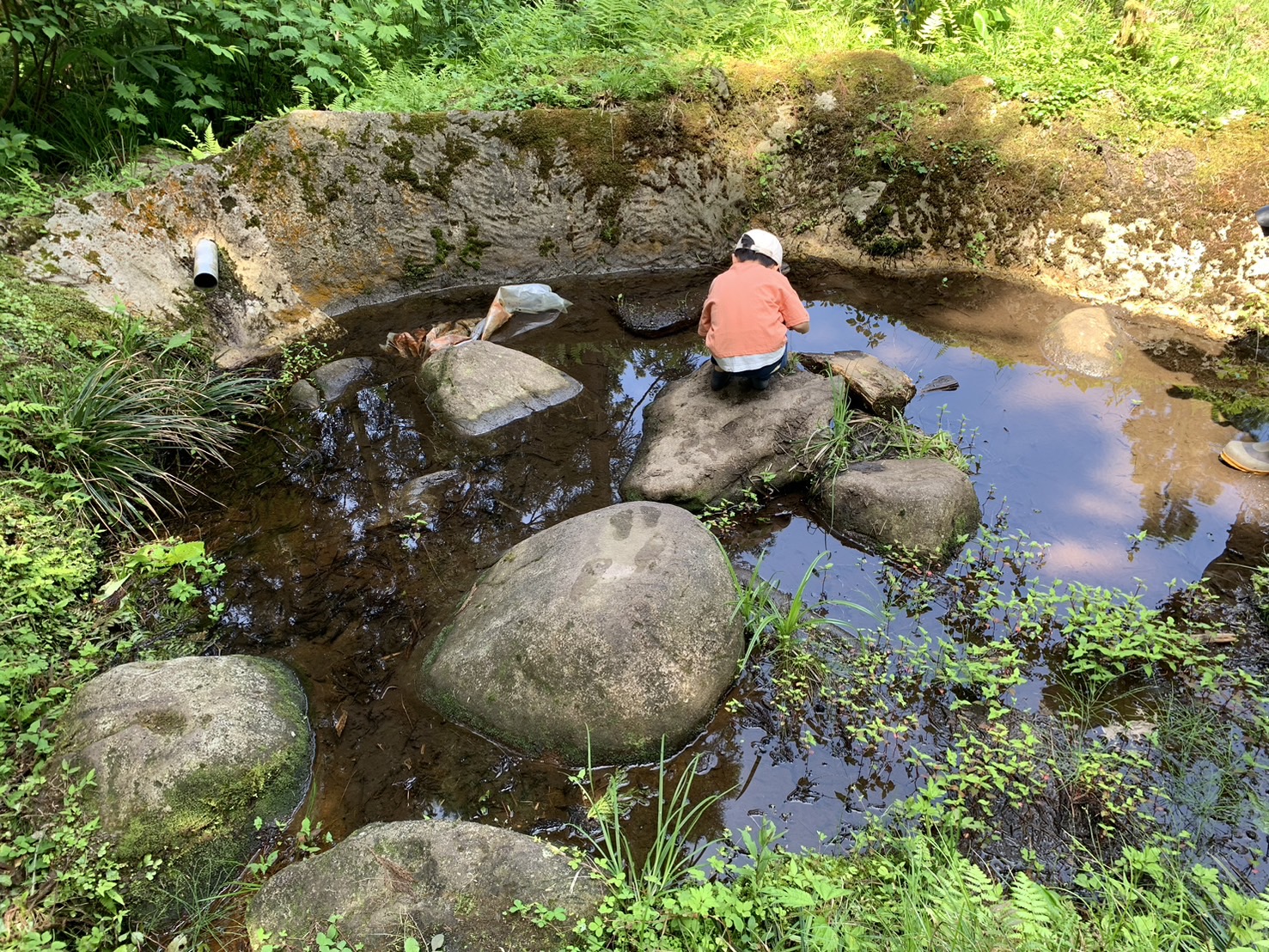 自由の森 体験③