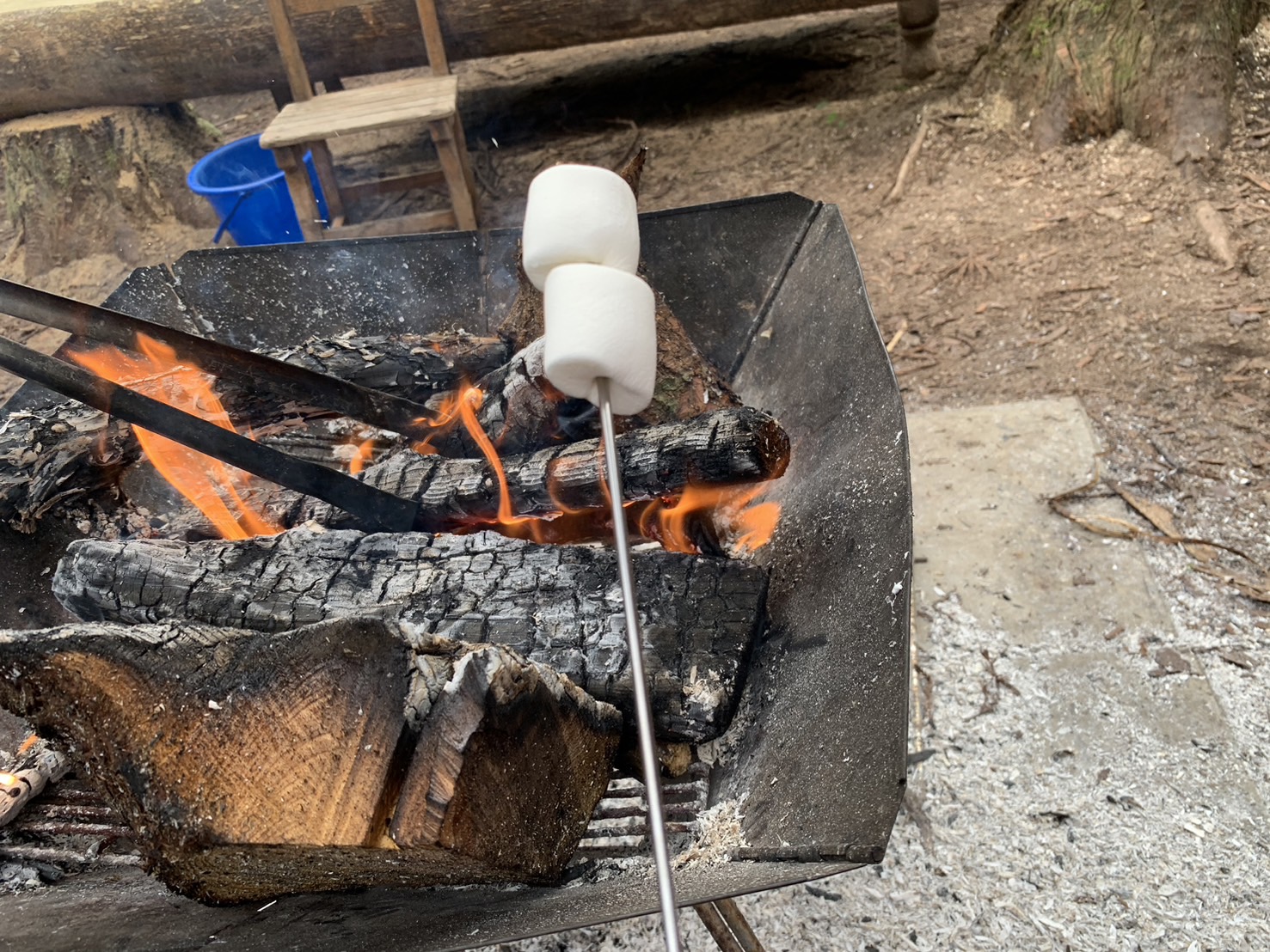 自由の森 体験②