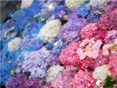 荘内神社 花手水舎