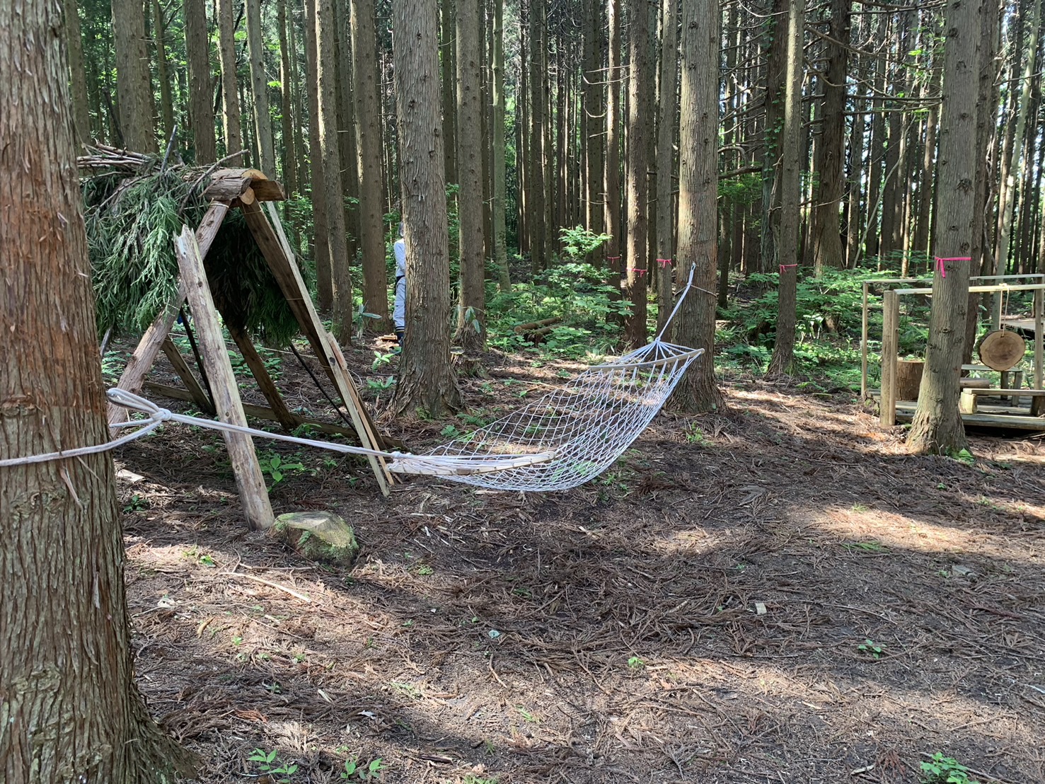 自由の森 遊び①