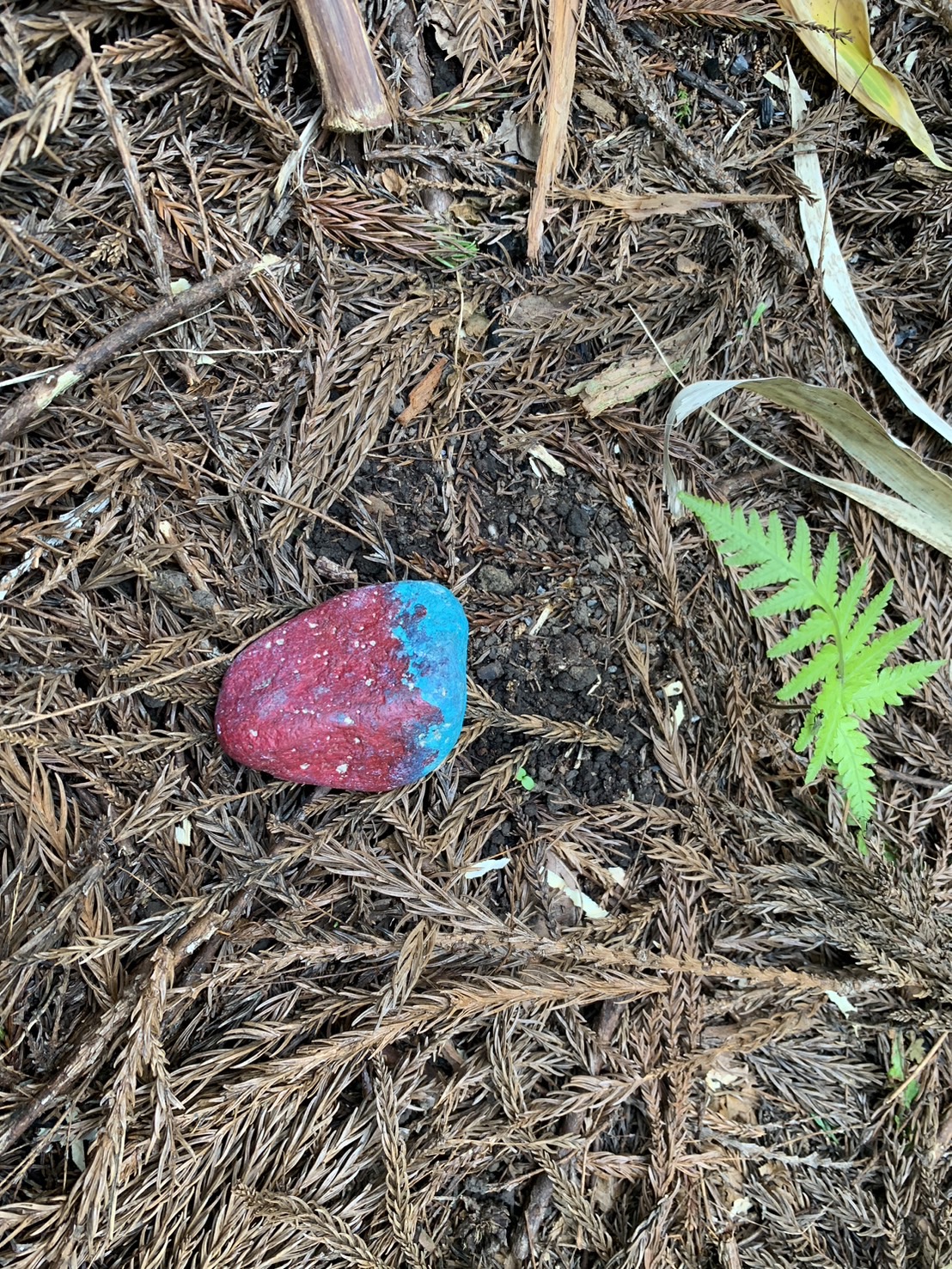 自由の森 体験⑧