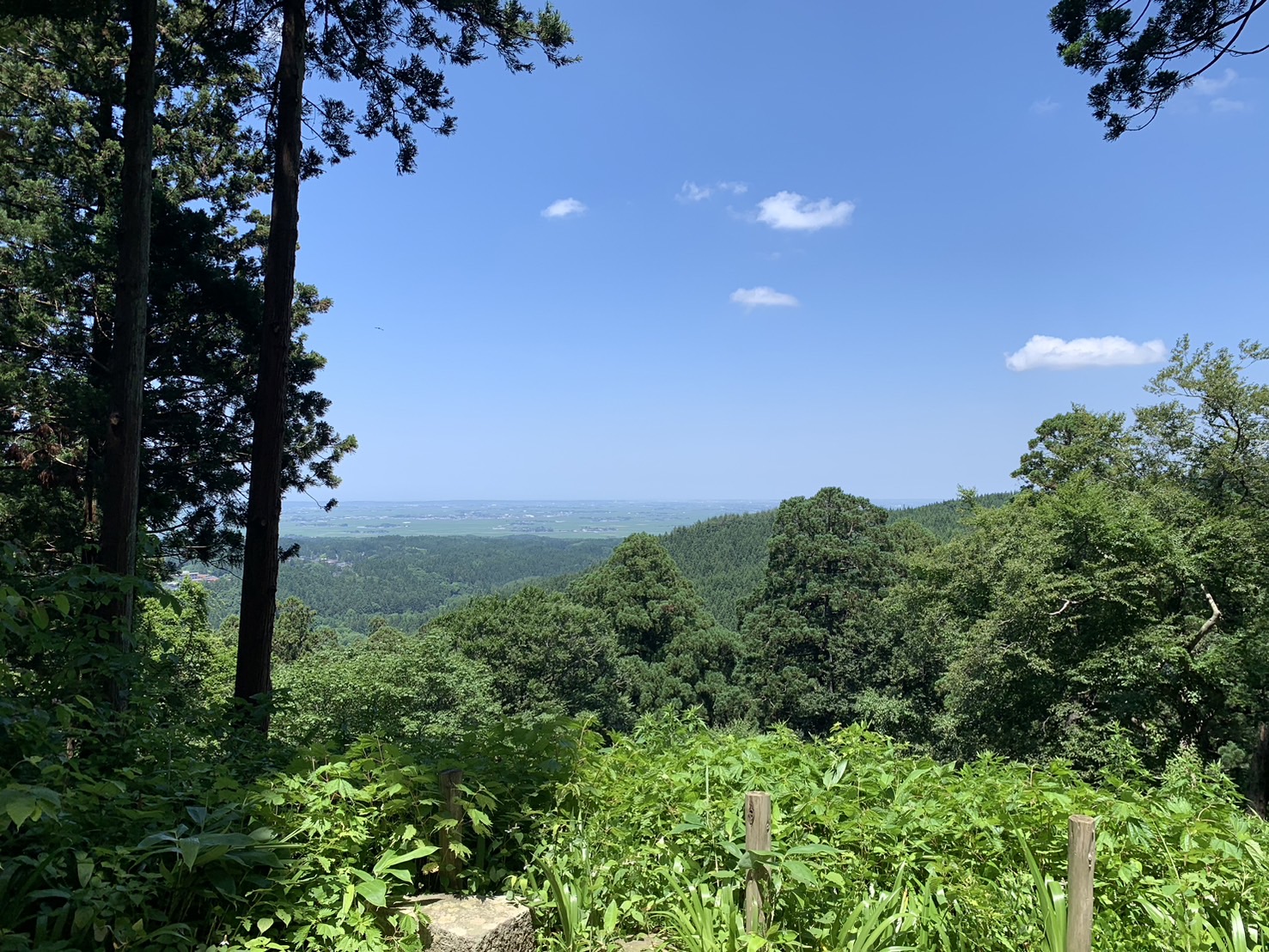 二の坂茶屋　店内
