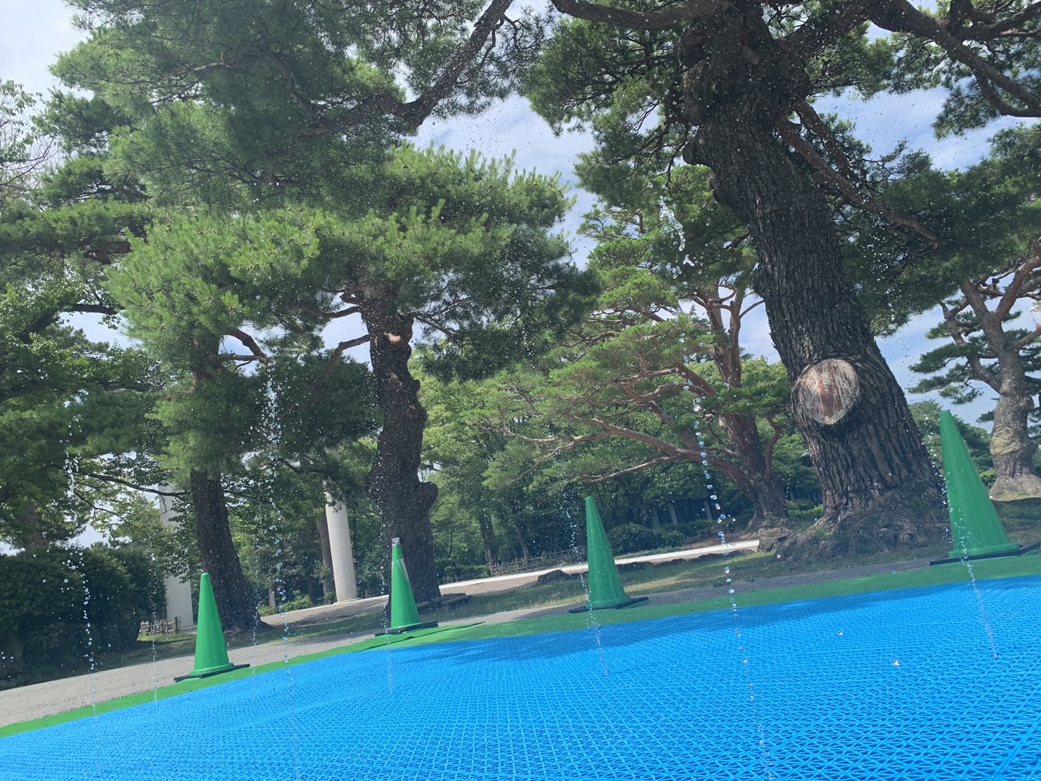 【庄内水遊びスポット】鶴岡公園二の丸広場床噴水（鶴岡市馬場町）｜夏限定！水遊びスポットが爆誕！