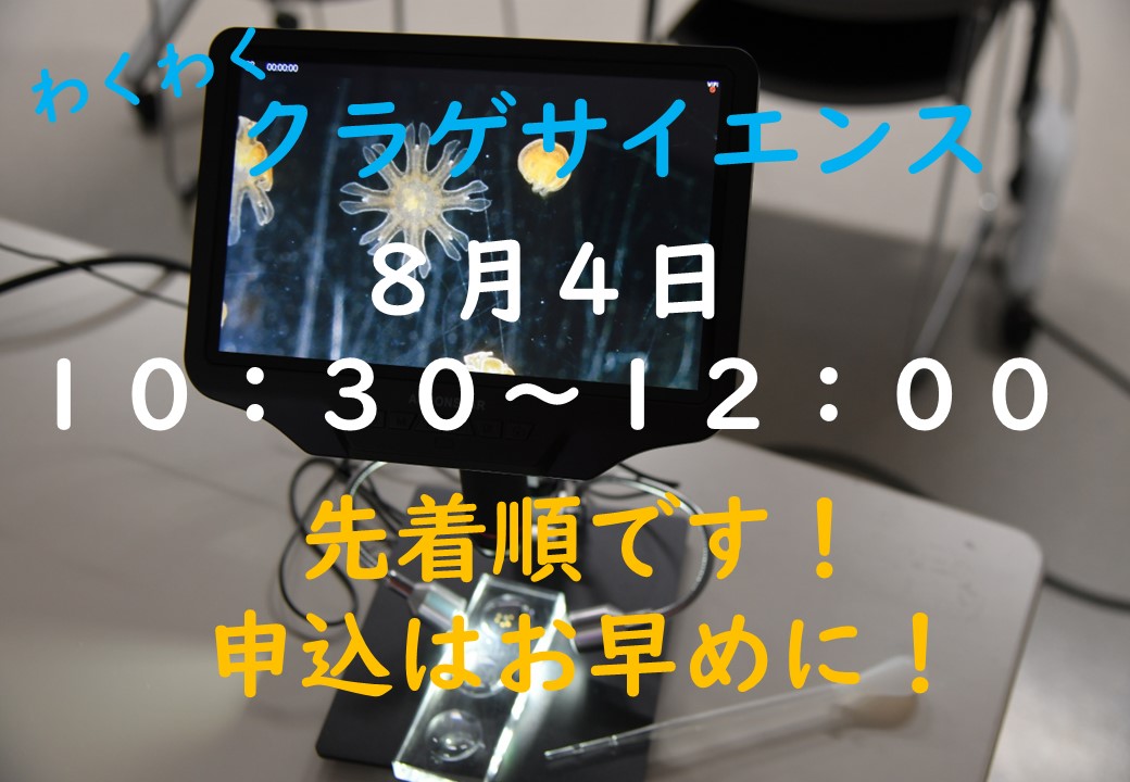 【庄内イベント情報8/4・8/18】わくわくクラゲサイエンスが募集開始