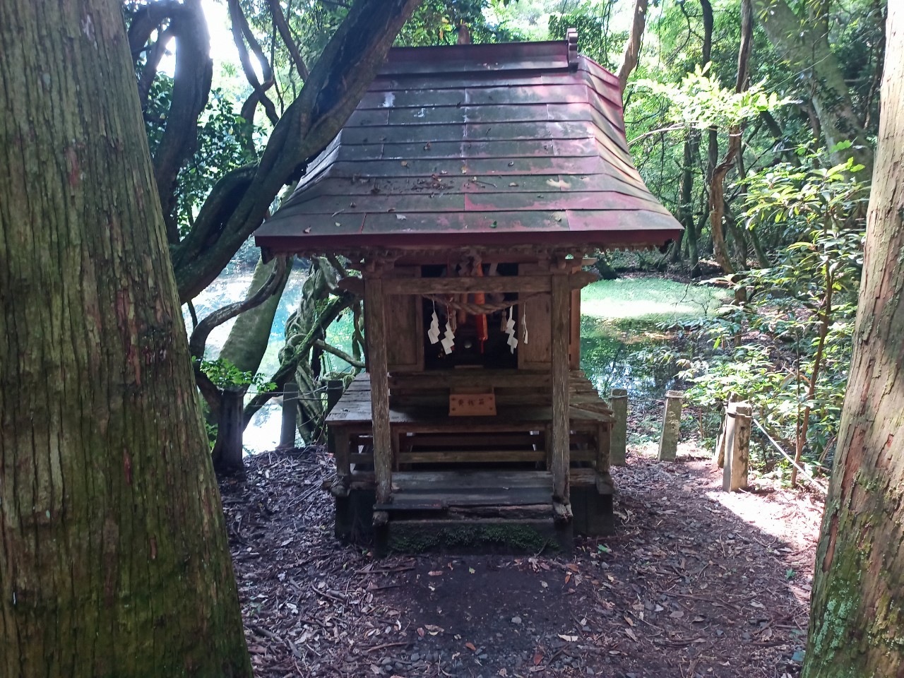 LINE_ALBUM_丸池様_240724_50