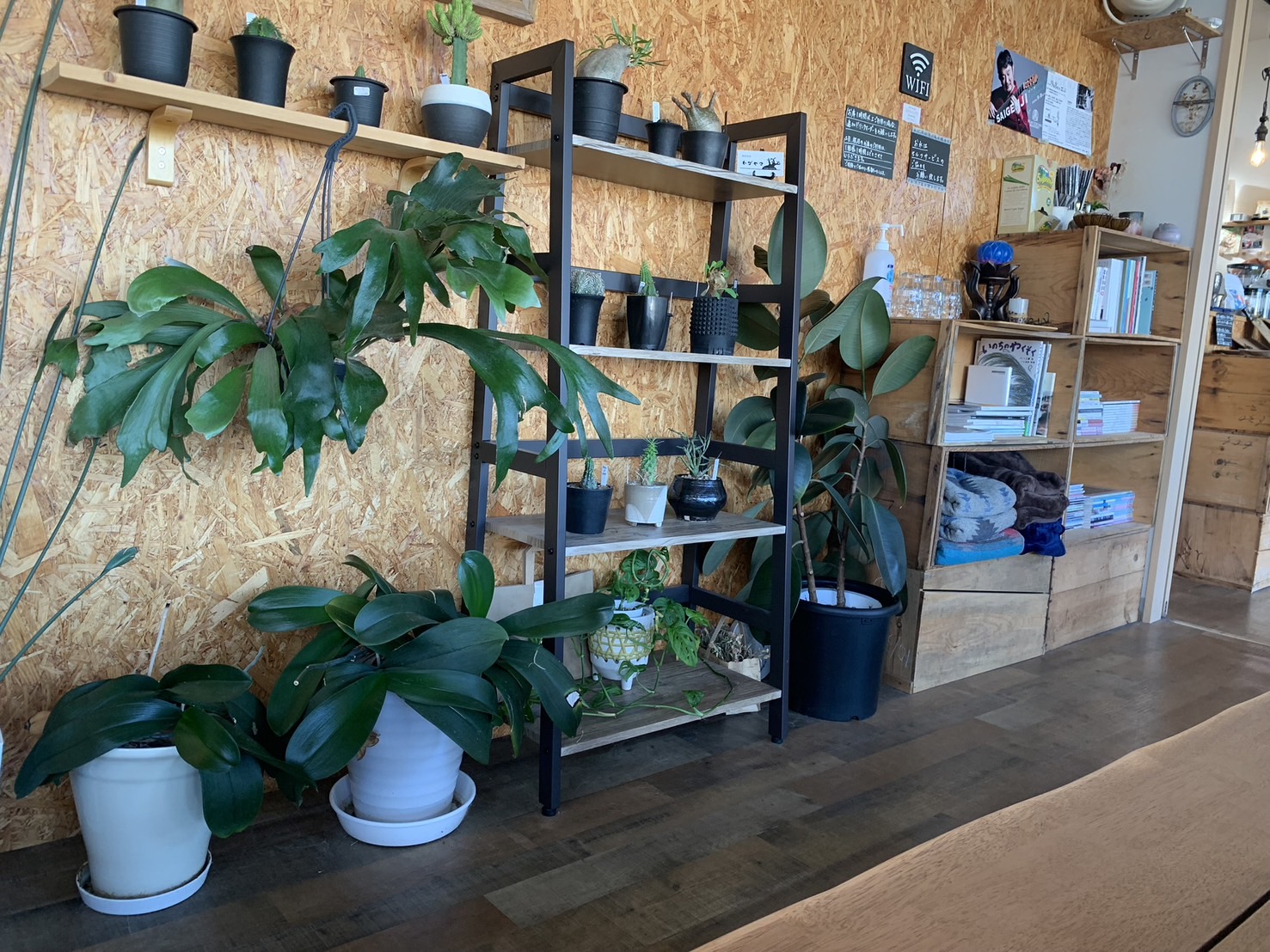 LOTUS coffee stand　内観③