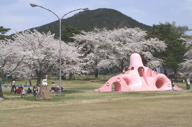 【庄内の話題】舞鶴公園のタコさんすべり台が撤去！？今ならタコさんにあれができる！