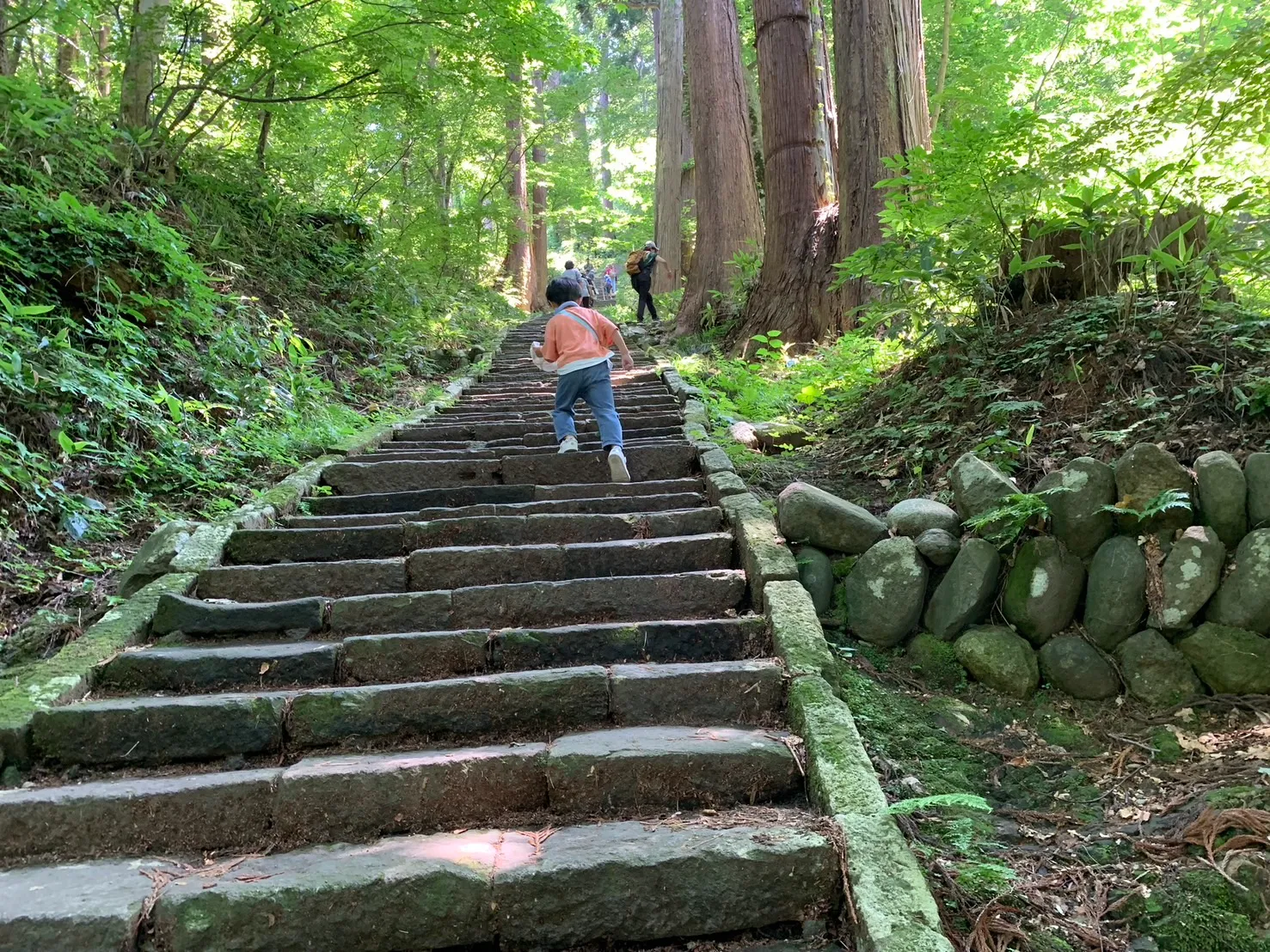 羽黒山 二の坂-2