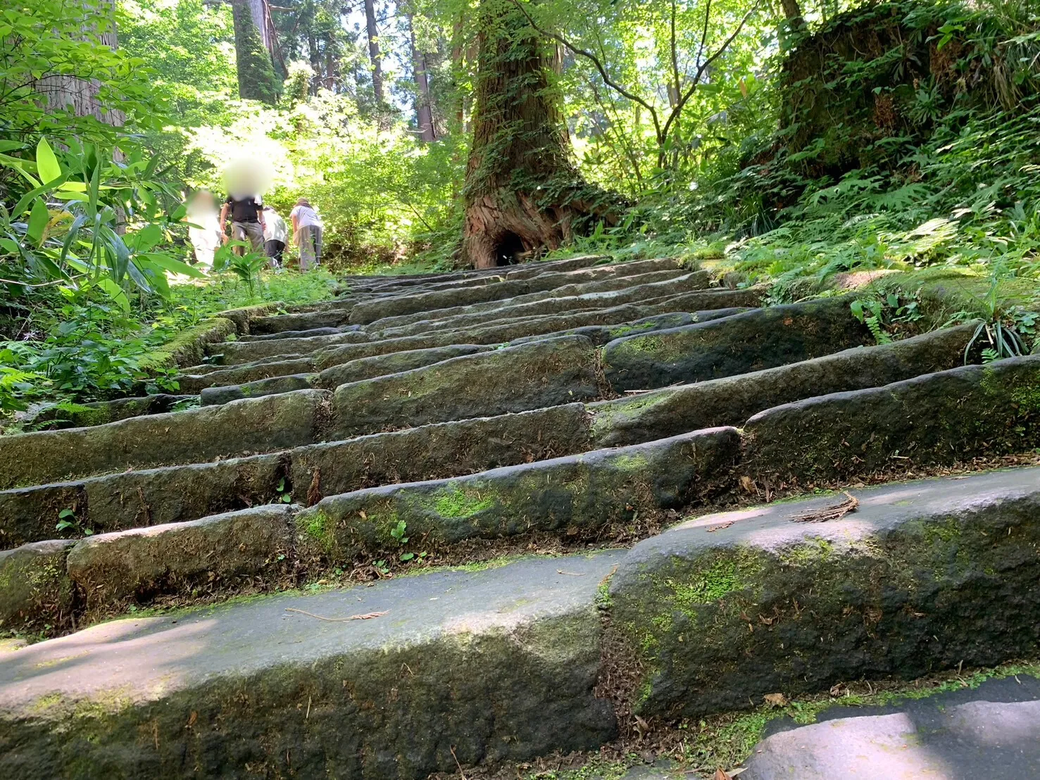 羽黒山 一の坂