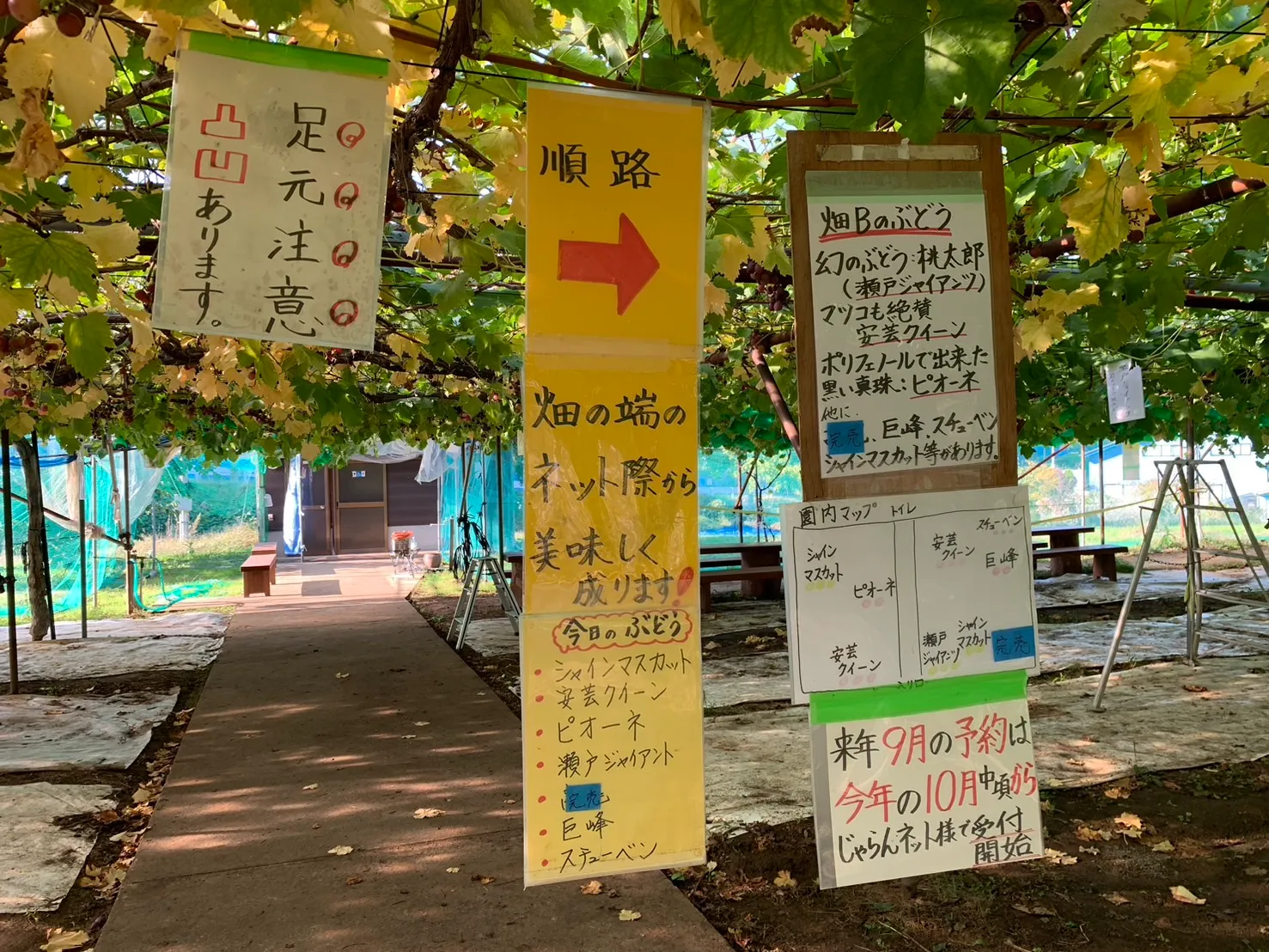 佐久間利兵衛観光農園-15