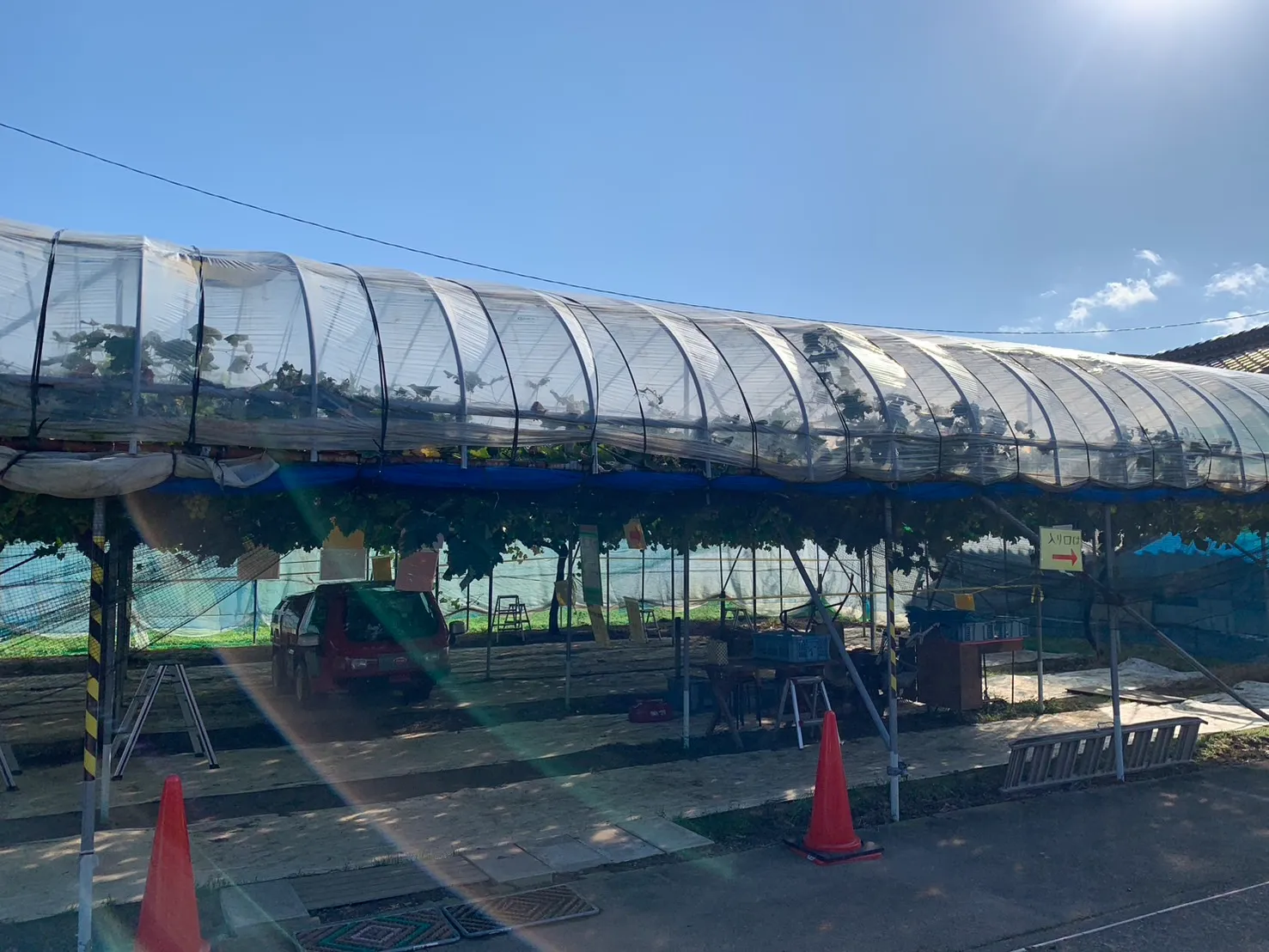 佐久間利兵衛観光農園-23