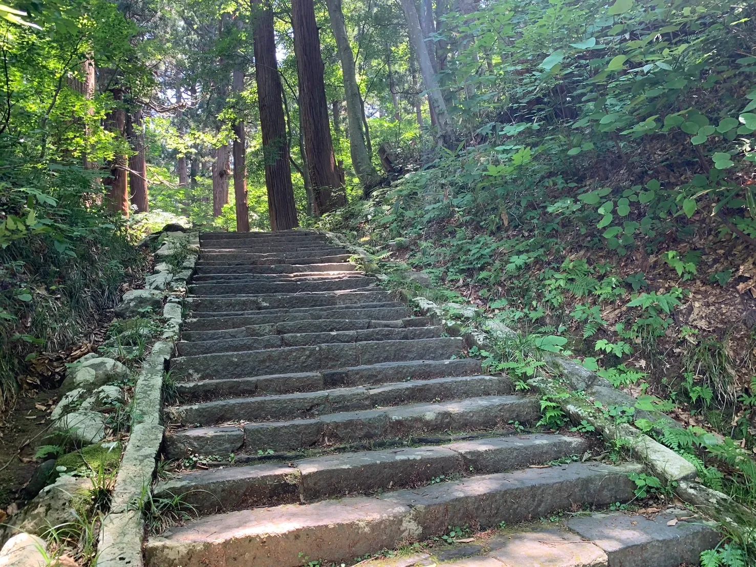 【庄内おでかけレポ】羽黒山石段のぼり（鶴岡市羽黒町）｜子連れはきつい？往復すると何時間？