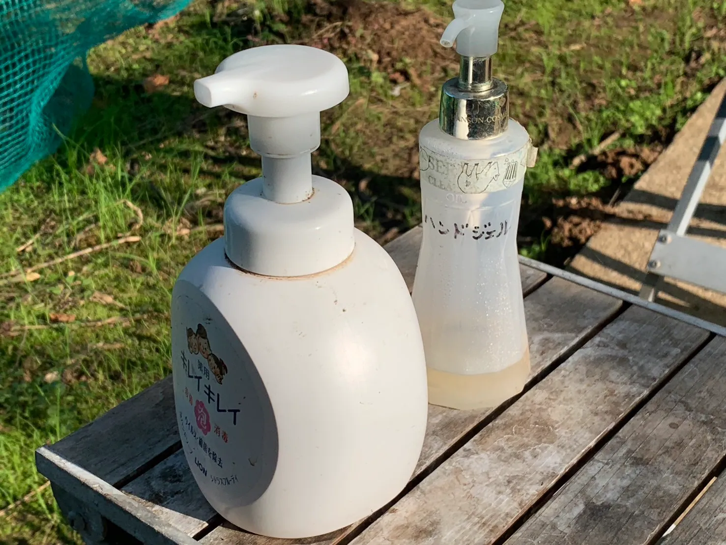 佐久間利兵衛観光農園-4