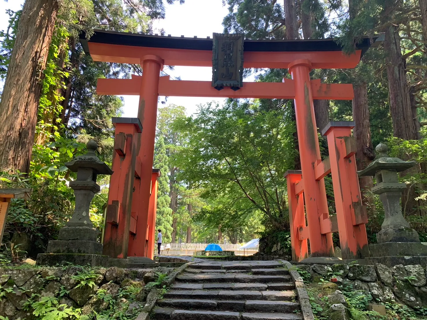 羽黒山 山頂