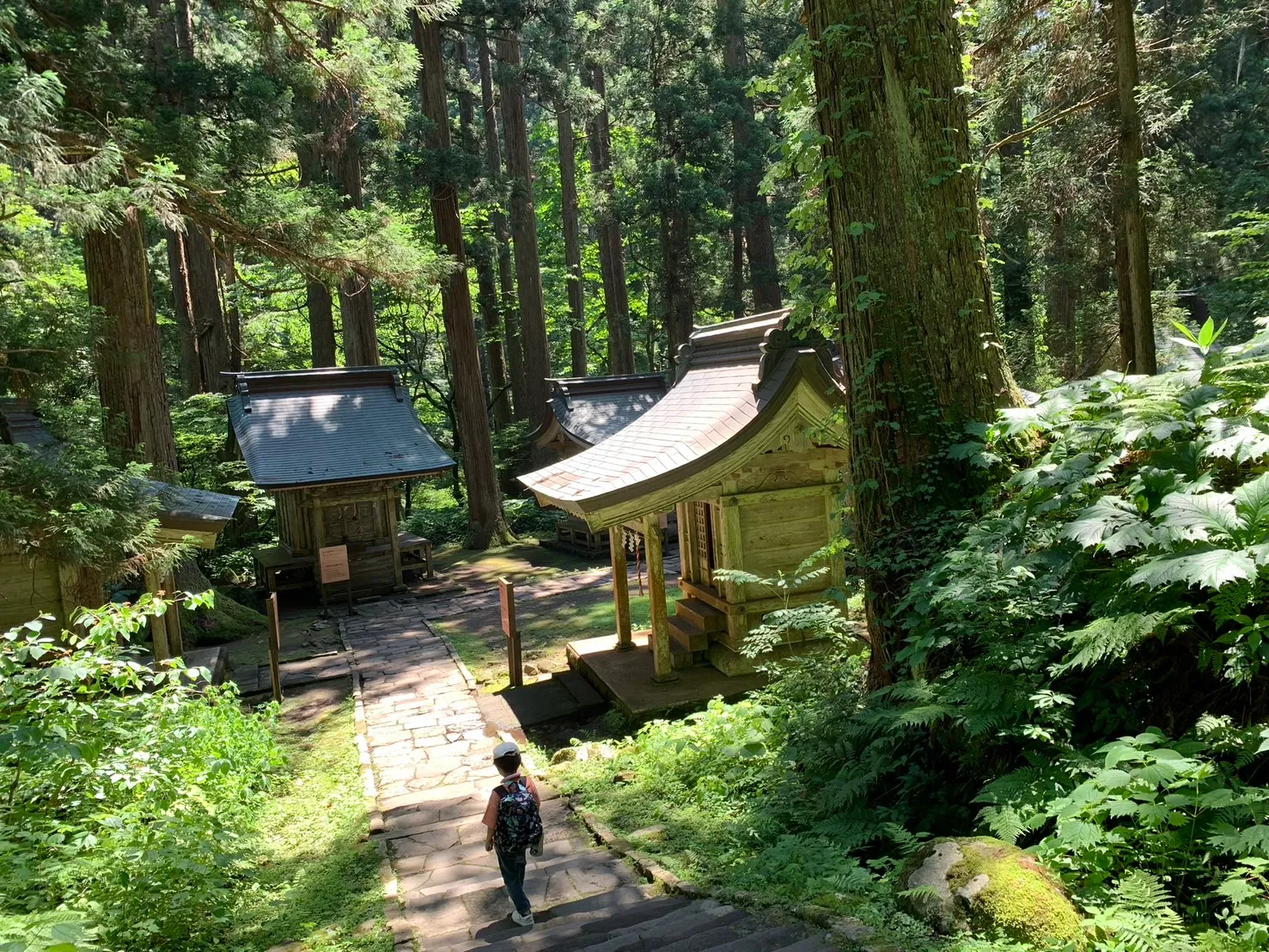 羽黒山 継子坂-1