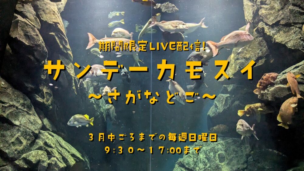 【庄内イベント情報】休館中の期間限定LIVE配信スタート！｜加茂水族館