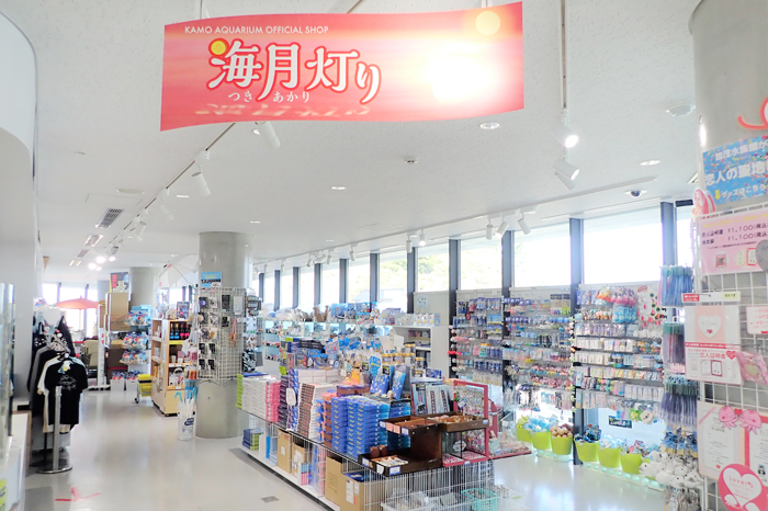 【庄内の話題】加茂水族館が駅前にやってくる！沖海月＆海月灯りがフーデバーで営業