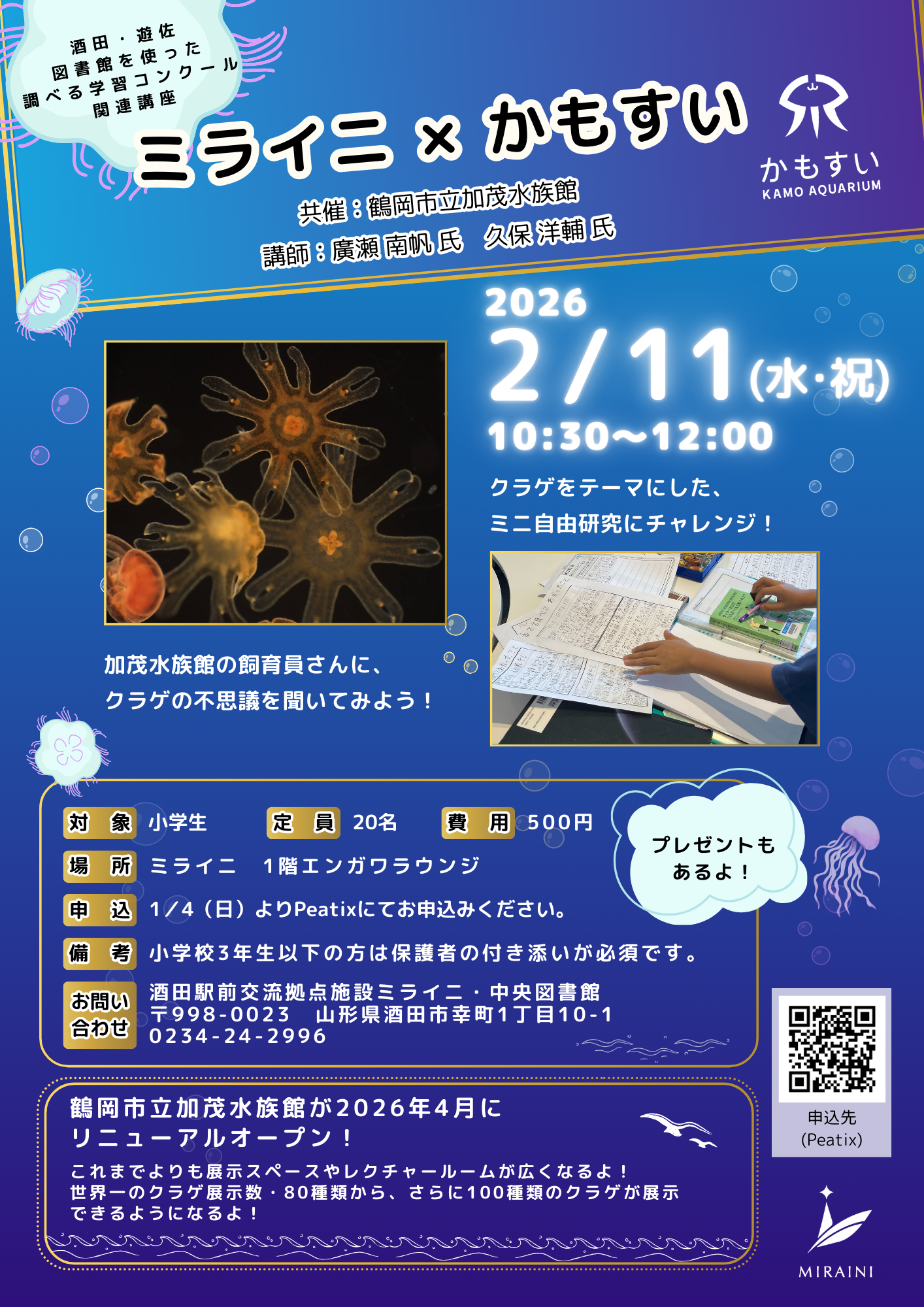 【庄内イベント情報2/11】クラゲをテーマとしたミニ自由研究「ミライニ×かもすい」が開催！