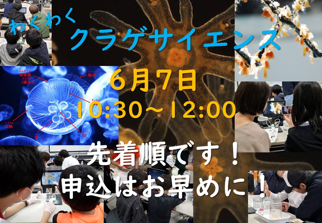 【庄内イベント情報6/7】わくわくクラゲサイエンス（鶴岡市）