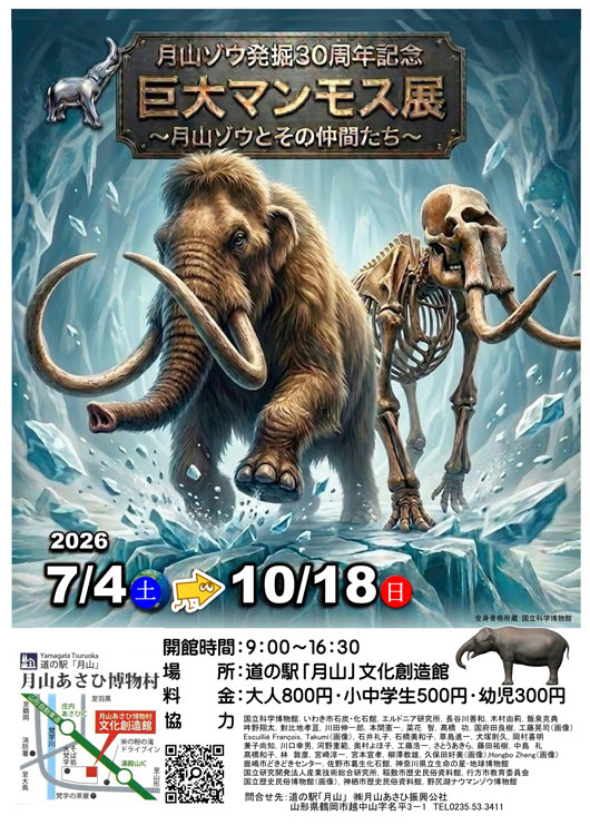 【庄内イベント情報7/4-10/18】月山ゾウ発掘30周年記念 巨大マンモス展 ~月山ゾウとその仲間たち~(鶴岡市)