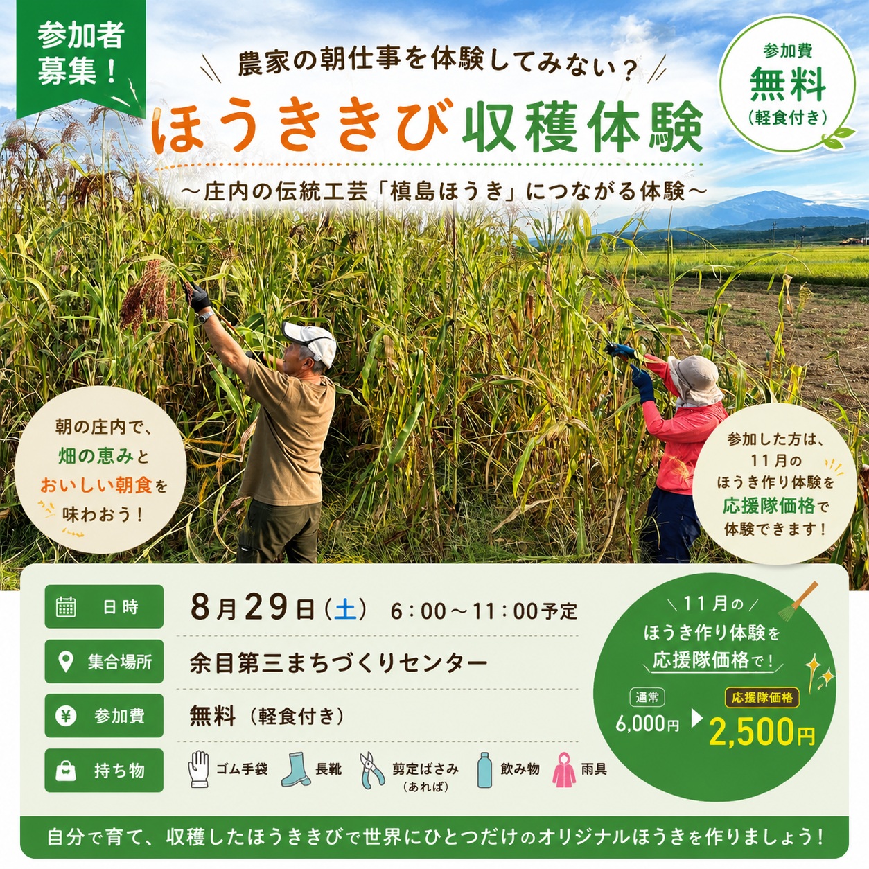 【庄内町イベント8/29】200年の伝統を紡ぐ！庄内平野の朝を味わう「ほうききび収穫体験」参加者募集中