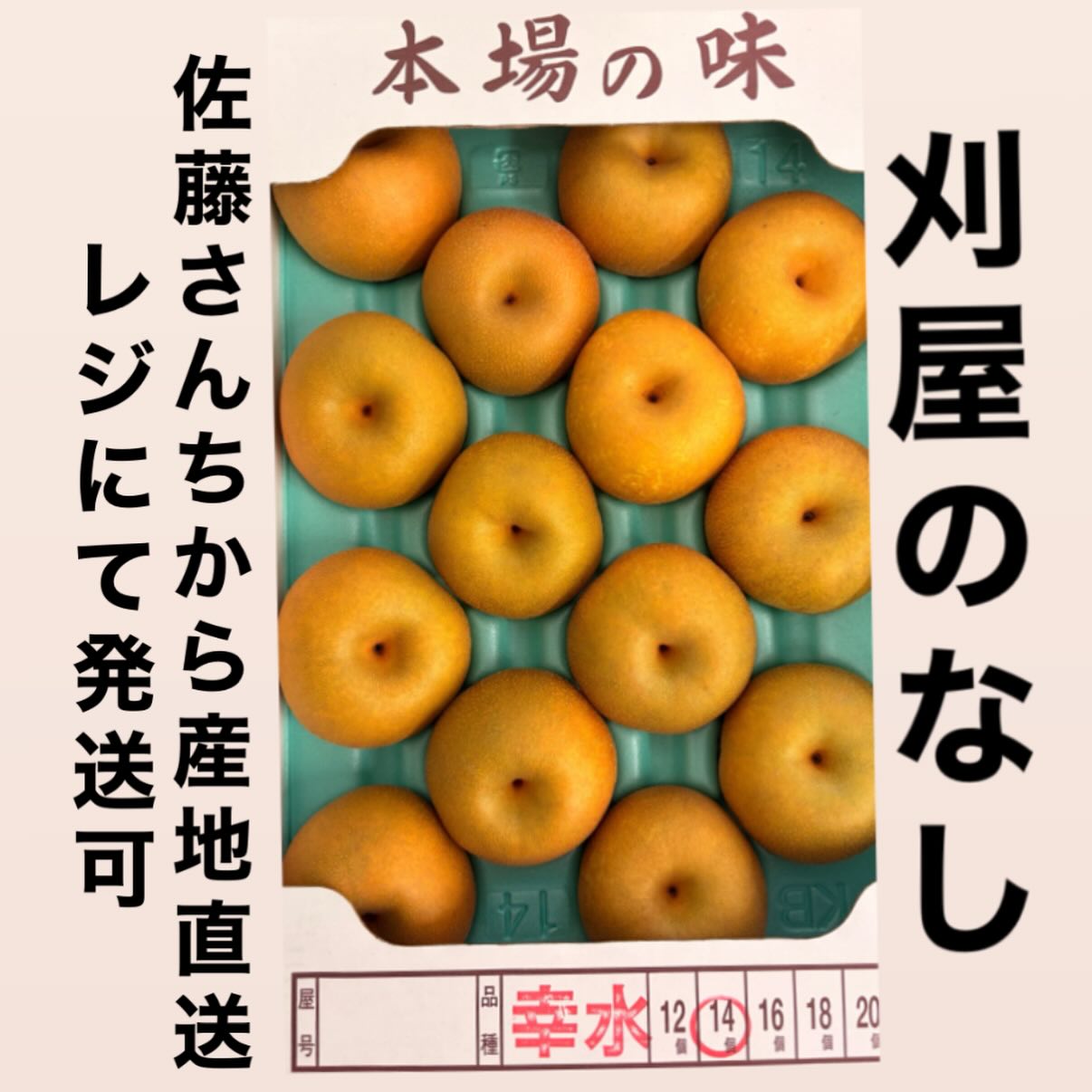 【遊佐町】旬の味覚が登場!グリーンストアに庄内の秋の名物「刈屋梨」&フルーツサンドが入荷